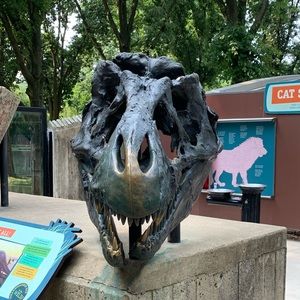 Meet your Posher, Kerri